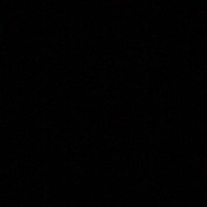 Meet your Posher, Dwight